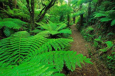 恐怖冒险《茧中蚕》7月25日登陆NS 获特别好评