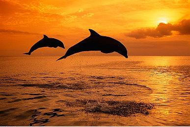 原田胜弘称《铁拳8》比同类游戏角色更多